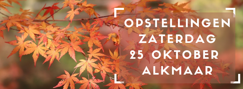 Lees meer over het artikel Opstellingen zaterdag 25 oktober ’25 – “TICKET”